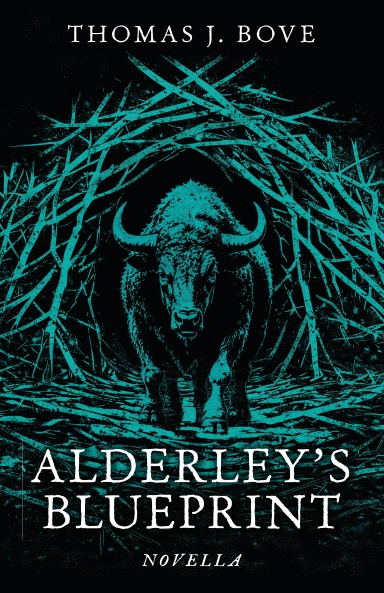 Alderly's Blueprint Paperback