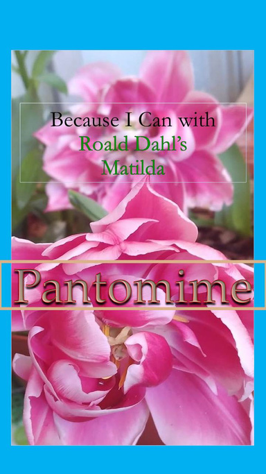 Because I Can with Roald Dahl's Matilda :  Pantomime