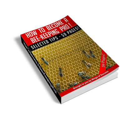 How to Become a Bee-Keeping Pro