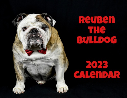 Reuben the Bulldog 2023 Calendar