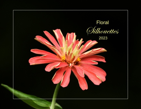 Floral Silhouettes - 2023