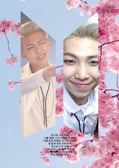 Dream, Love, Happiness | Boy in Luv RM