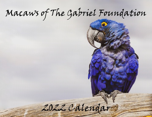 Macaws of The Gabriel Foundation