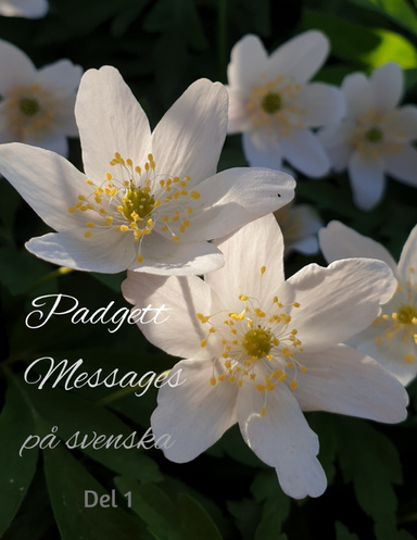 Padgett Messages på svenska - volym 1, E-bok