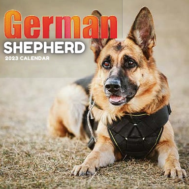German Shepherd calendar book 2023
