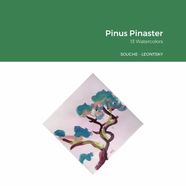 Pinus Pinaster. 13 Watercolors.