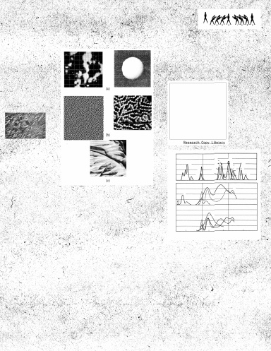 Research Copy Library 20xxiii.3.19--xx
