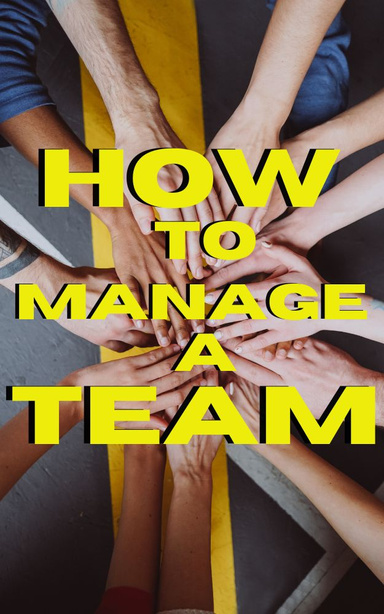 How to Manage a Team