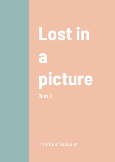 Lost in a picture