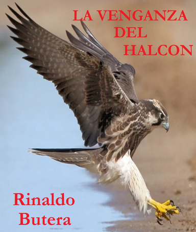 La Venganza Del Halcon
