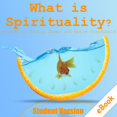 What ia Spirituality?