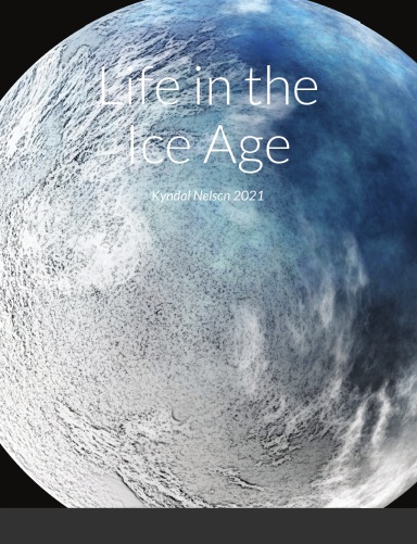 Life in the Ice Age
