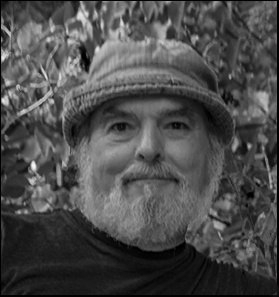 Image of Author Fernando Llosa