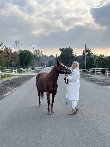 Image of Author Jacqueline Zirbes - VON ZIRBES LLC
