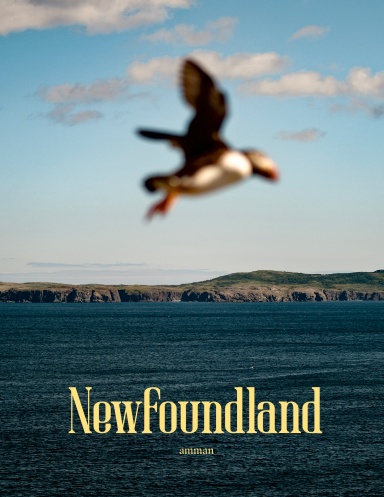Newfoundland