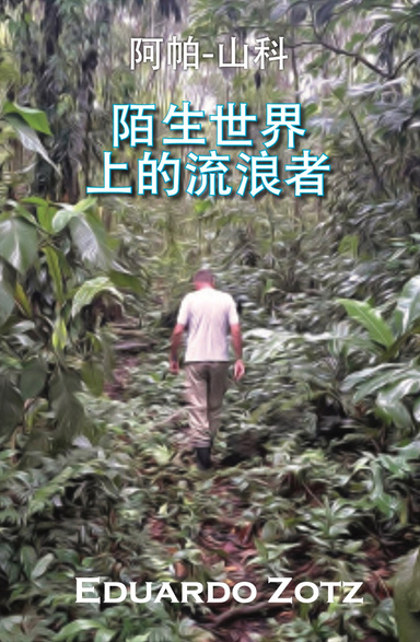 陌生世界上的流浪者