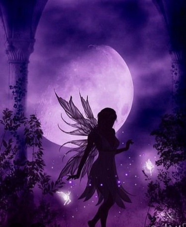 The Elven Echo: Jack Strongbows's Journey