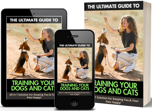 Training Your Dogs And Cats