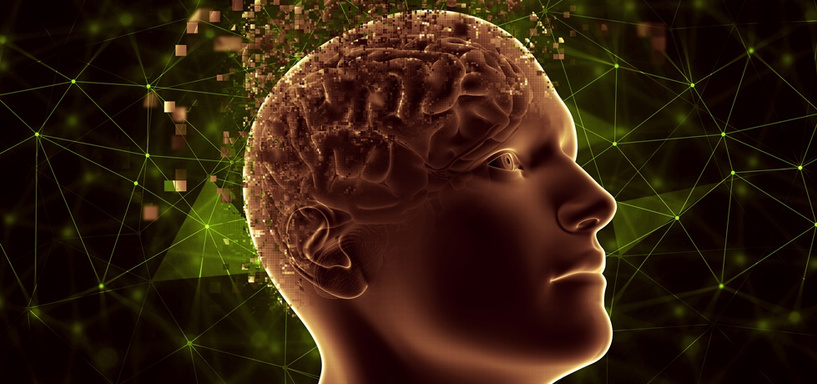 REFLEXÕES DA MENTE HUMANA