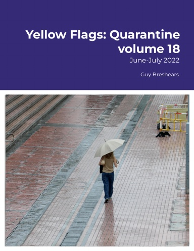 Yellow Flags: Quarantine volume 18