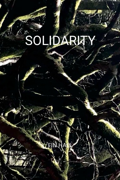 Solidarity. A wee book of political rants