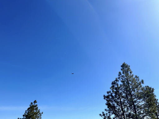 Image of Author Colin Griffith