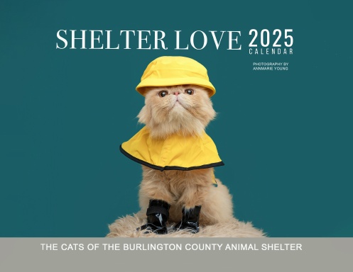 Shelter Love 2025