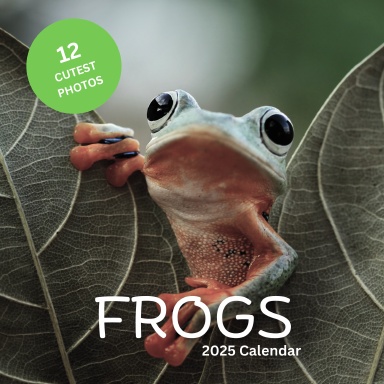 2025 Frogs Wall Calendar