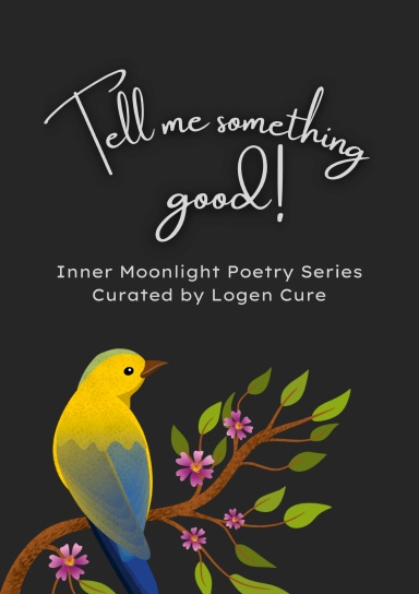 Inner Moonlight Poetry Series "Tell me something good!" blank A5 notebook