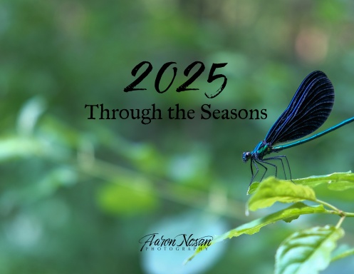Through the Seasons 2025