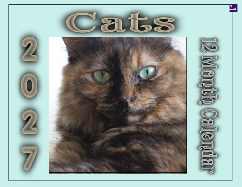 CATS 2027 12 Month Calendar