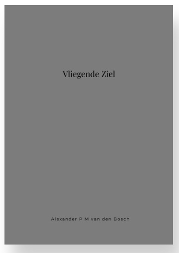 Vliegende Ziel