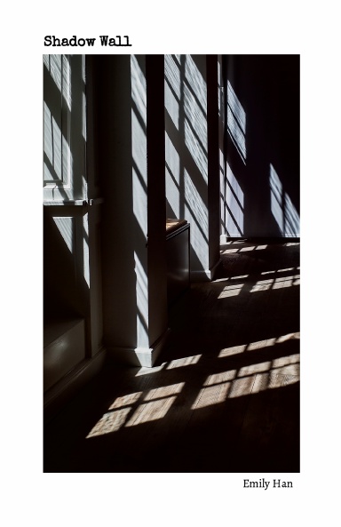 Shadow Wall