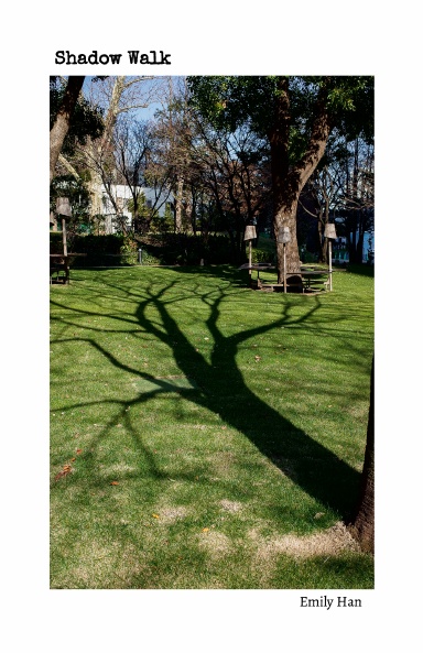 Shadow Walk