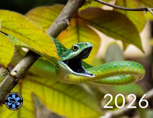 ASF 2026 Calendar