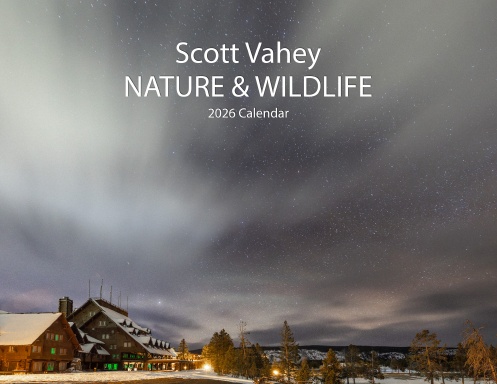 Nature & Wildlife 2026
