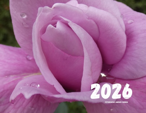 Calendario Flores 2026
