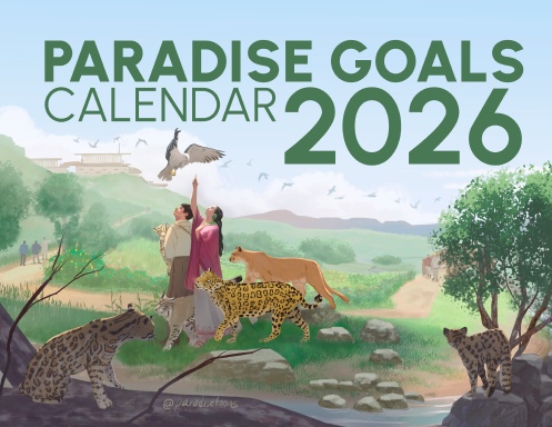 Paradise goals 2026