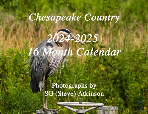 Chesapeake Country Photographs  2024-25 - 16 Month Calendar