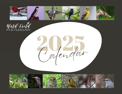 2025 Wild Field Photography Calendar