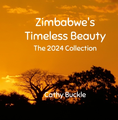 Zimbabwe's Timeless Beauty: The 2024 Collection
