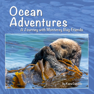 Ocean Adventures