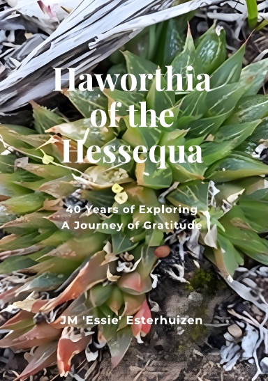 Haworthia of the Hessequa