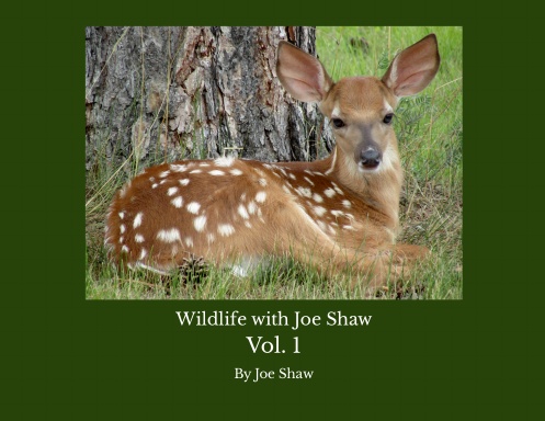 Wildlife with Joe Shaw Vol. 1