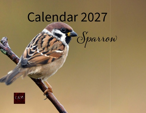 Sparrow