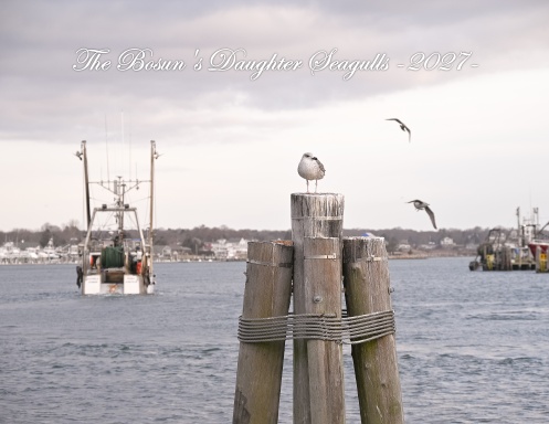 The Bosun's Daughter Seagulls 2027