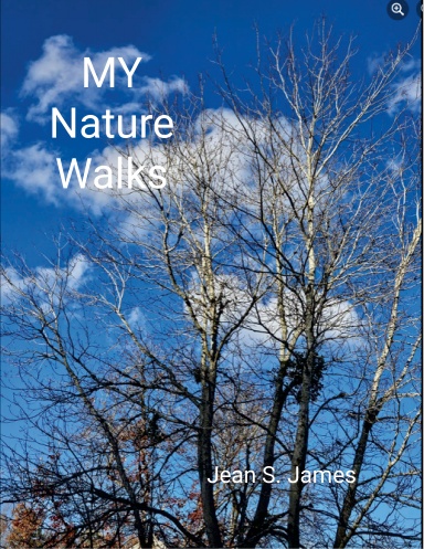 MyNature Walks