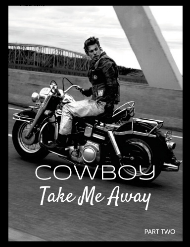 Cowboy Take Me Away: Part Two