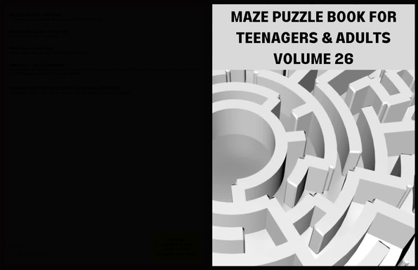 MAZE PUZZLE BOOK FOR TEENAGERS AND ADULTS  VOLUME 26