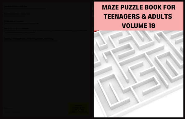 MAZE PUZZLE BOOK FOR TEENAGERS AND ADULTS  VOLUME 19